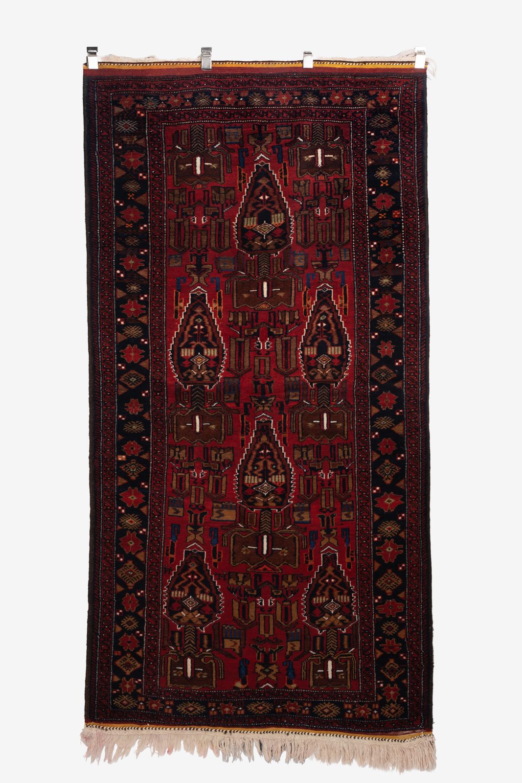 Derakhti 010
