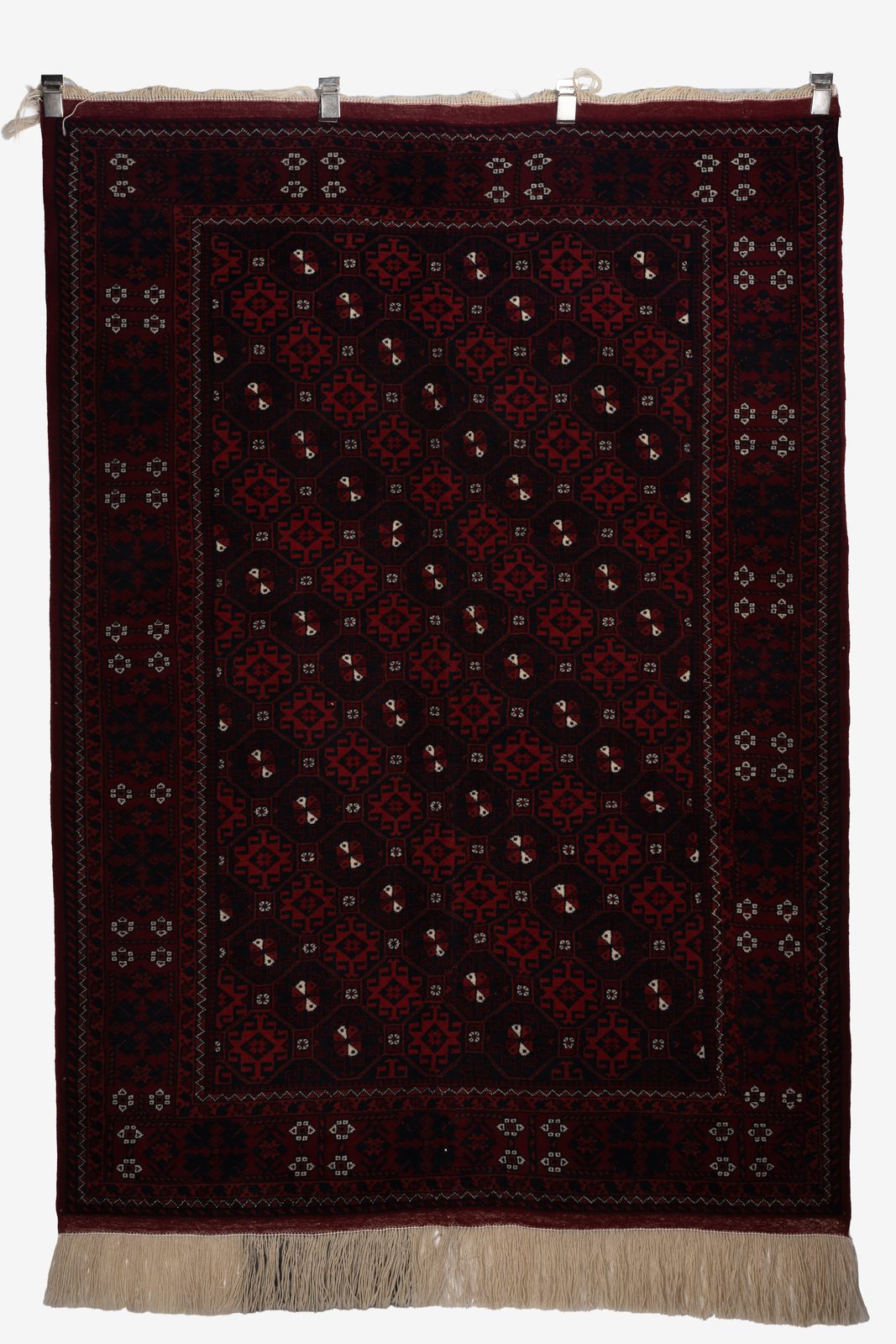 Ali Mirzai Balochi 010